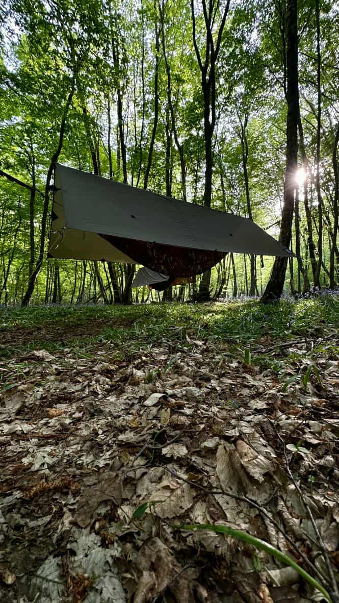 Paul's wilderness experience